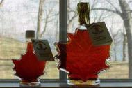 Maple leaf shaped bottles of syrup on window ledge