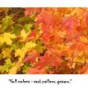 fall-colors02