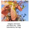 fall-colors07