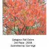 fall-colors08